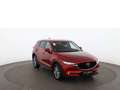 Mazda CX-5 2.2 SKYACTIV-D Sports-Line Aut LED 360-CAM Rot - thumbnail 8