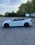 BMW M4 Cabrio - thumbnail 6