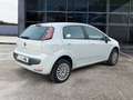 Fiat Punto Evo 1.4 natural power Emotion 70cv Wit - thumbnail 4