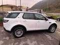 Land Rover Discovery Sport Discovery Sport I 2015 2.0 td4 SE awd 150cv auto Wit - thumbnail 3