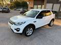 Land Rover Discovery Sport Discovery Sport 2.0d ed4 R-Dynamic S fwd 150cv Blanc - thumbnail 2