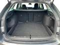 Skoda Octavia Combi Selection eTSI DSG|VORB.AHK|NAVI Grau - thumbnail 6