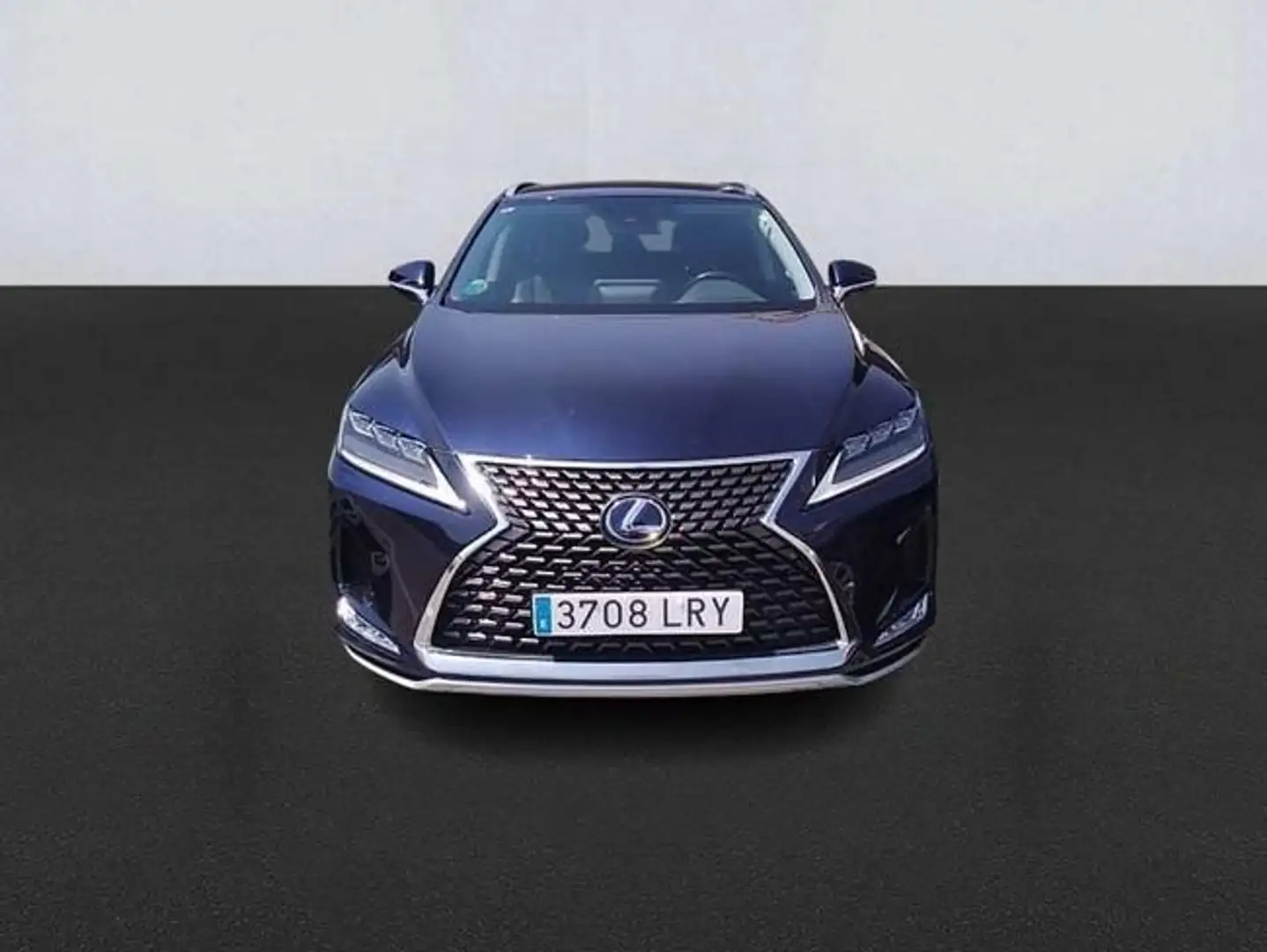 Lexus RX 300 BUSSINES Azul - 1