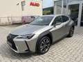 Lexus UX 250h AWD Gris - thumbnail 3