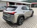 Lexus UX 250h AWD Gris - thumbnail 15