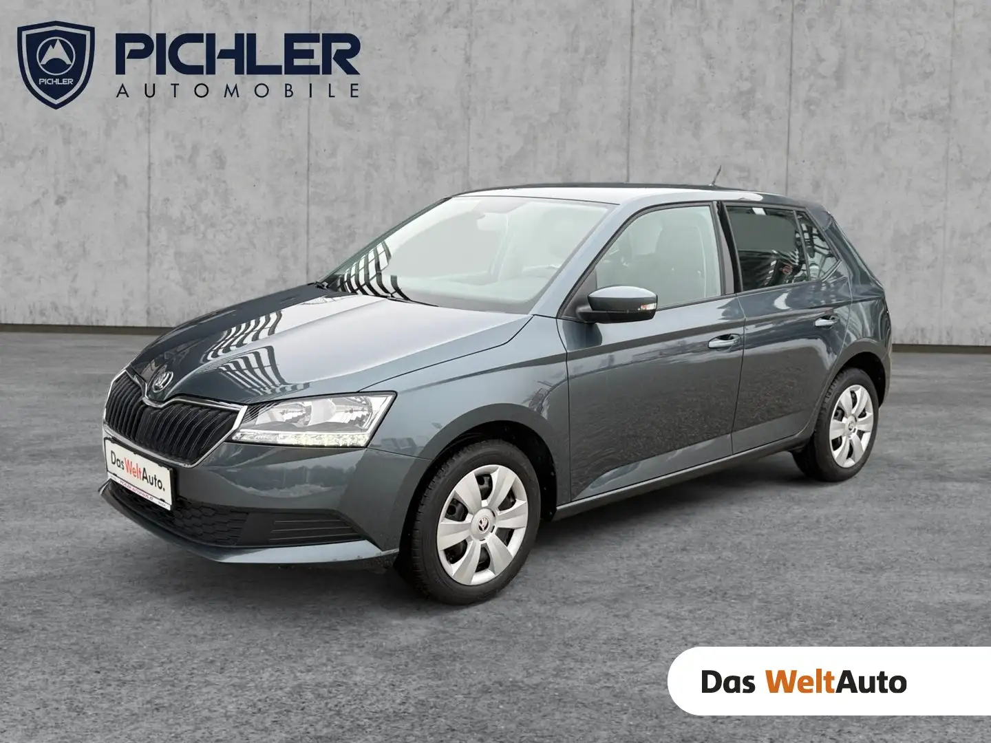 Skoda Fabia 125 Grau - 1