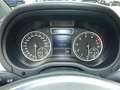 Mercedes-Benz B 200 B 200 "SPORTPAKET" Panorama-SD+AHK+Xenon Gris - thumbnail 11