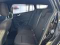 Ford Focus ST-Line 1.0 EcoBoost Hybrid Sportpaket Navi Noir - thumbnail 16
