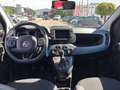Fiat Panda 4x2 FireFly Hybrid 70 (Red) Rot - thumbnail 6