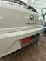 SEAT Ibiza 1.0 TSI S&S Xcellence DSG7 115 Blanco - thumbnail 14