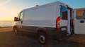 Fiat Ducato Furgón 30 2.3Mjt Corto Blanco - thumbnail 14