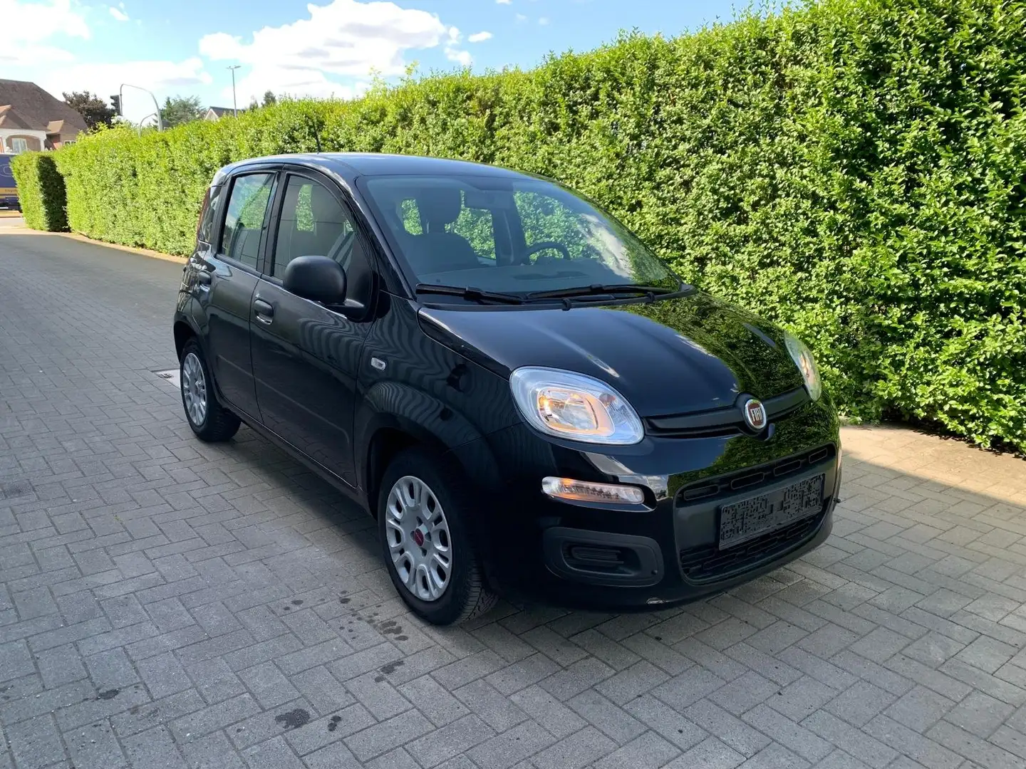 Fiat Panda Panda 1.0 GSE Hybrid Noir - 2