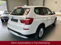 BMW X3 xDrive 20d Aut. ACC AHK PDC SHZ LM 1.-Hand Weiß - thumbnail 7