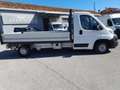 Citroen Jumper 35 L3 BLUEHDI 140CV CASSONATO EURO6D-ISC CASSONE Blanc - thumbnail 2