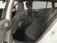 Ford Focus Turnier 1.5 EcoBlue Start-Stopp-System Aut. Blanco - thumbnail 8
