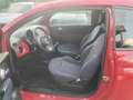 Fiat 500 500 1.0 hybrid Cult 70cv Rosso - thumbnail 5