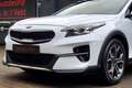 Kia XCeed 1.6 T-GDi ExecutiveLine CARPLAY CAMERA TREKHAAK LE Weiß - thumbnail 20