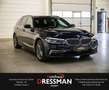 BMW 530 d xDrive LUXURY-LINE LED 360° H/K HuD DAB Bleu - thumbnail 3