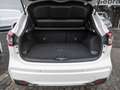 Nissan Qashqai 1,3 DIG-T N-TEC Lenkass,Totwinkel,Nav, Weiß - thumbnail 18