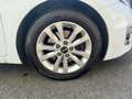 Kia Ceed / cee'd ceed II 2016 SW SW 1.6 crdi GT Line 110cv Bianco - thumbnail 14