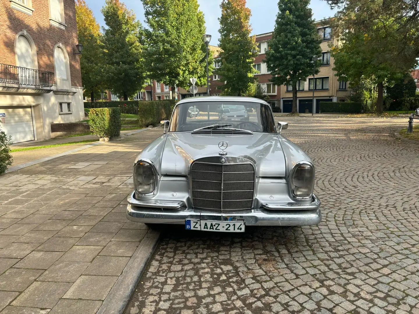 Mercedes-Benz 220 SE W111 Argintiu - 1
