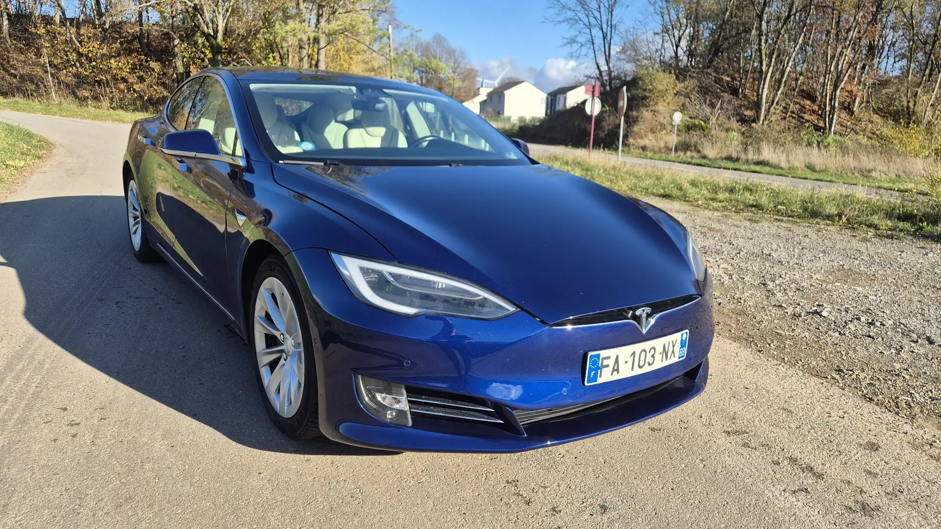 Tesla Model S 100D Dual Motor - 1