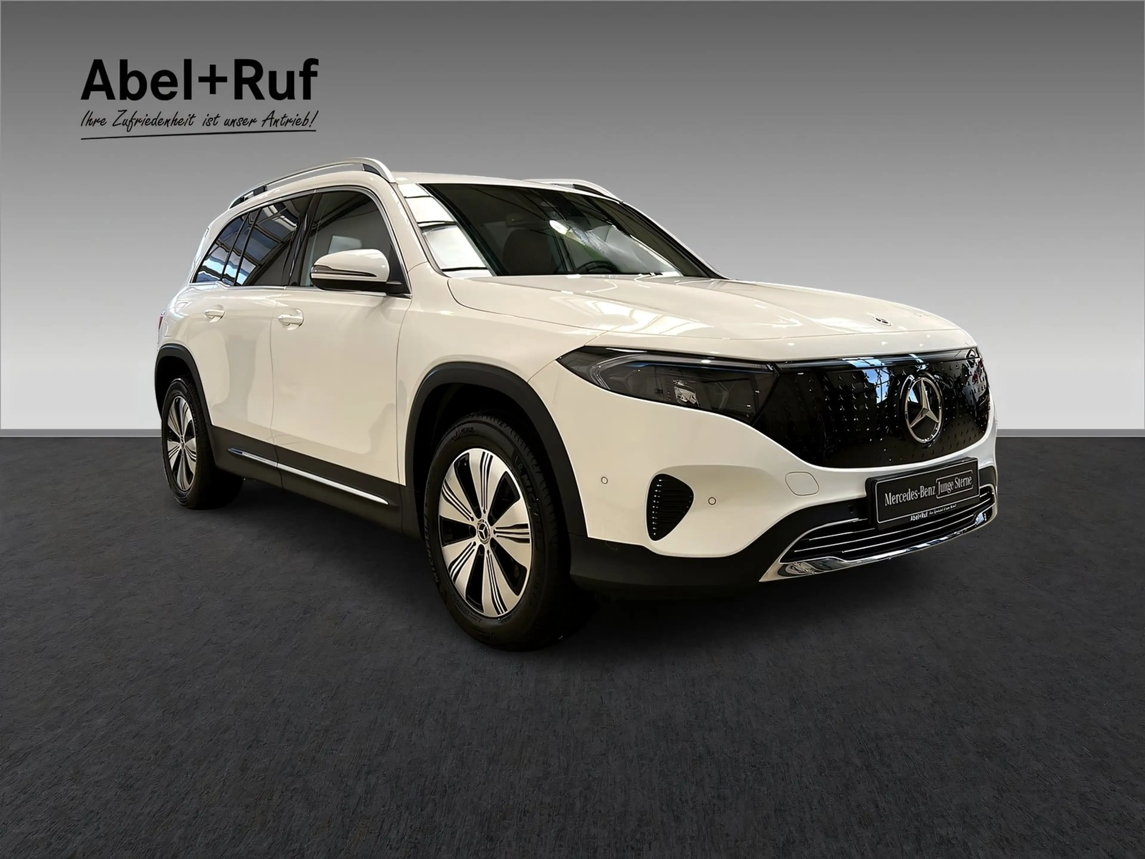 Mercedes-Benz EQB 250 + PROGRESSIVE+LED+Kamera+Ambi+LrHz+7 Sitz — photo 6