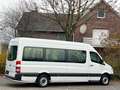 Mercedes-Benz Sprinter 313Cdi Maxi 9Sitze Automatik Lift Klima Bianco - thumbnail 4
