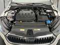 Skoda Octavia Skoda Octavia Combi 2.0 TDI Style *AHK*Navi*ACC* Weiß - thumbnail 16