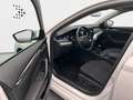 Skoda Octavia Skoda Octavia Combi 2.0 TDI Style *AHK*Navi*ACC* Weiß - thumbnail 14