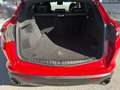 Alfa Romeo Stelvio 2.2 Turbodiesel 190 CV AT8 Q4 Executive Rot - thumbnail 15