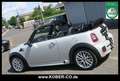 MINI Cooper Cabrio JCW BODY KIT+LEDER+NAVI+SHZ+XENON Grigio - thumbnail 3