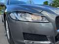 Jaguar XF 20d Pure Aut. elSitz SoundSys Сірий - thumbnail 8