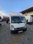 Nissan Cabstar 35.13/1 Cabina Abatible Premium - thumbnail 4