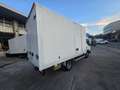 Nissan Cabstar 35.13/1 Cabina Abatible Premium - thumbnail 3