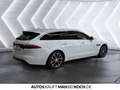 Jaguar XF 25d AWD Prestige LEDER XENON NAVI KAMERA Klima Weiß - thumbnail 4