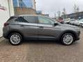 Opel Grandland X 1.2 Turbo Business Executive |Trkhk|Carplay Grijs - thumbnail 7