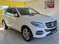 Mercedes-Benz GLE 350 d 4Matic, 360° KAMERA, AHK ELEK., LED Weiß - thumbnail 4