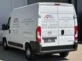 Opel Movano C Kasten L2H2 3,5t *NAVI*KLIMA*PDC*BT*DAB Weiß - thumbnail 3