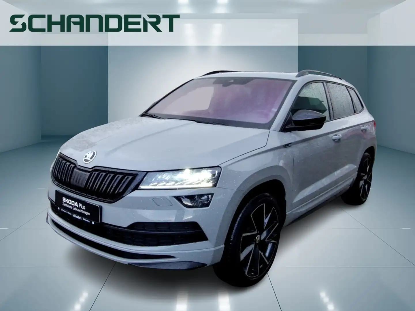 Skoda Karoq 2.0 TSI Sportline 4x4 DSG LED Pano Navi AHK Grau - 1