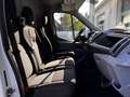 Ford Transit 310 2.2TDCi 125cv PM-TM, Furgone Trend, Iva eslusa Blanc - thumbnail 9
