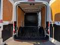 Ford Transit 310 2.2TDCi 125cv PM-TM, Furgone Trend, Iva eslusa Blanc - thumbnail 8