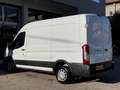 Ford Transit 310 2.2TDCi 125cv PM-TM, Furgone Trend, Iva eslusa Blanc - thumbnail 5