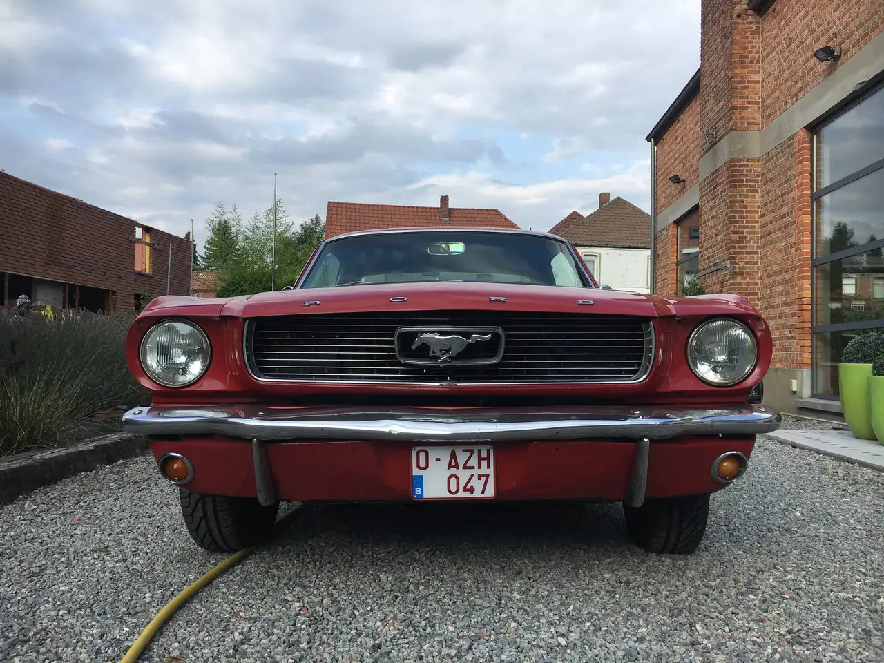 Ford Mustang V8 289CI 4.7L, foto 3
