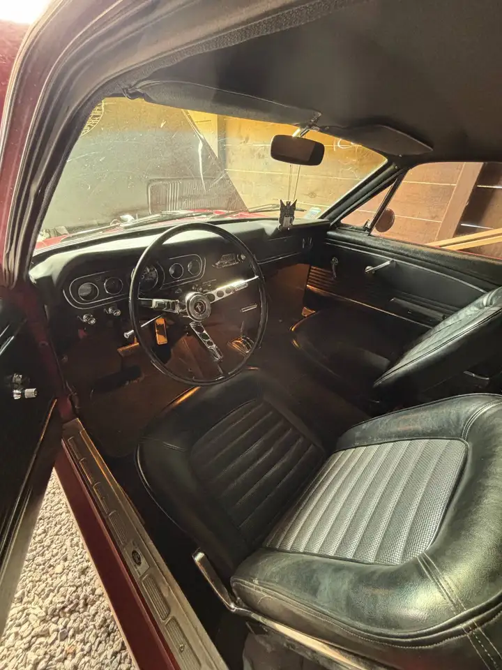 Ford Mustang V8 289CI 4.7L, foto 10