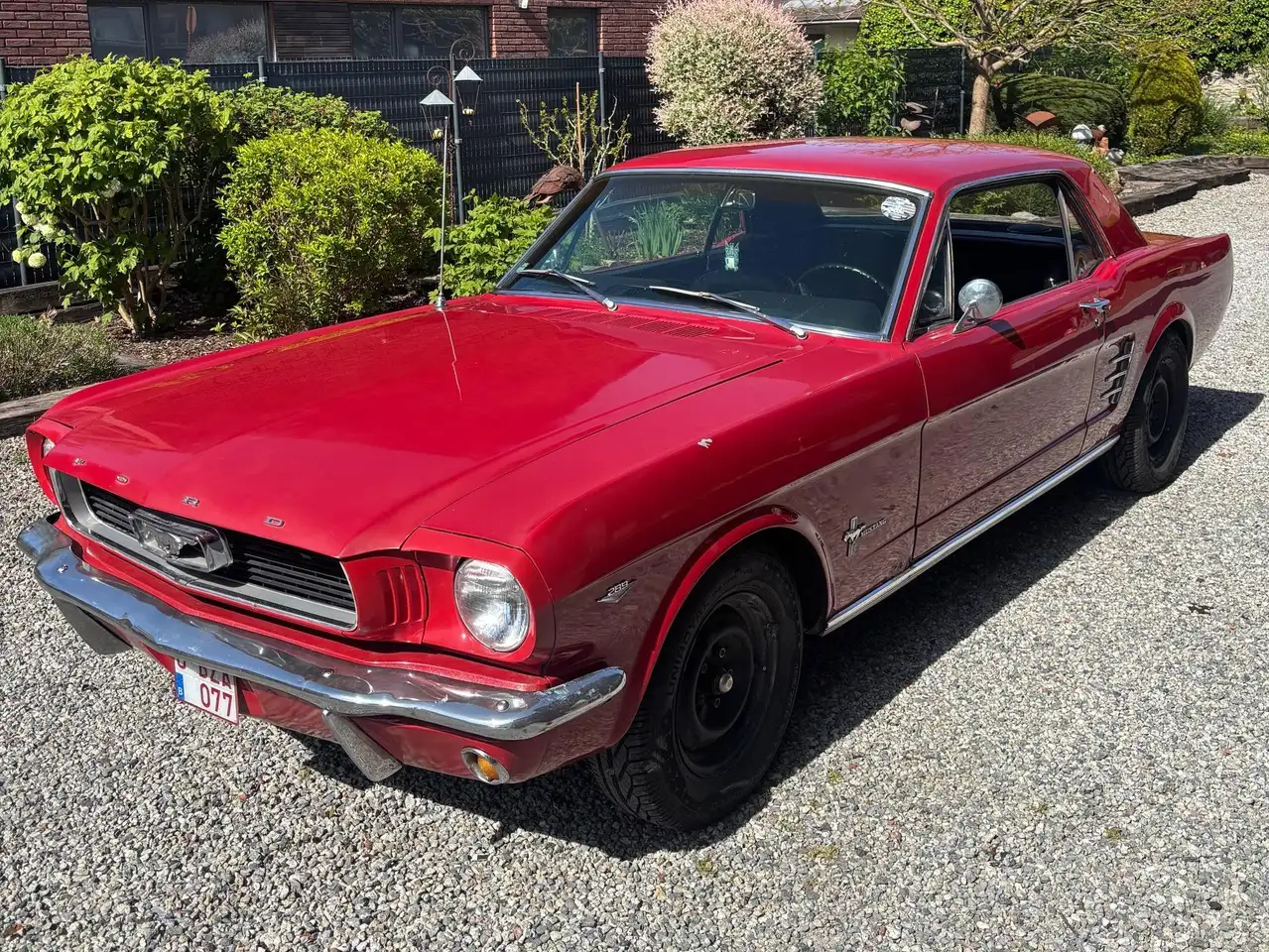 Ford Mustang V8 289CI 4.7L, foto 2