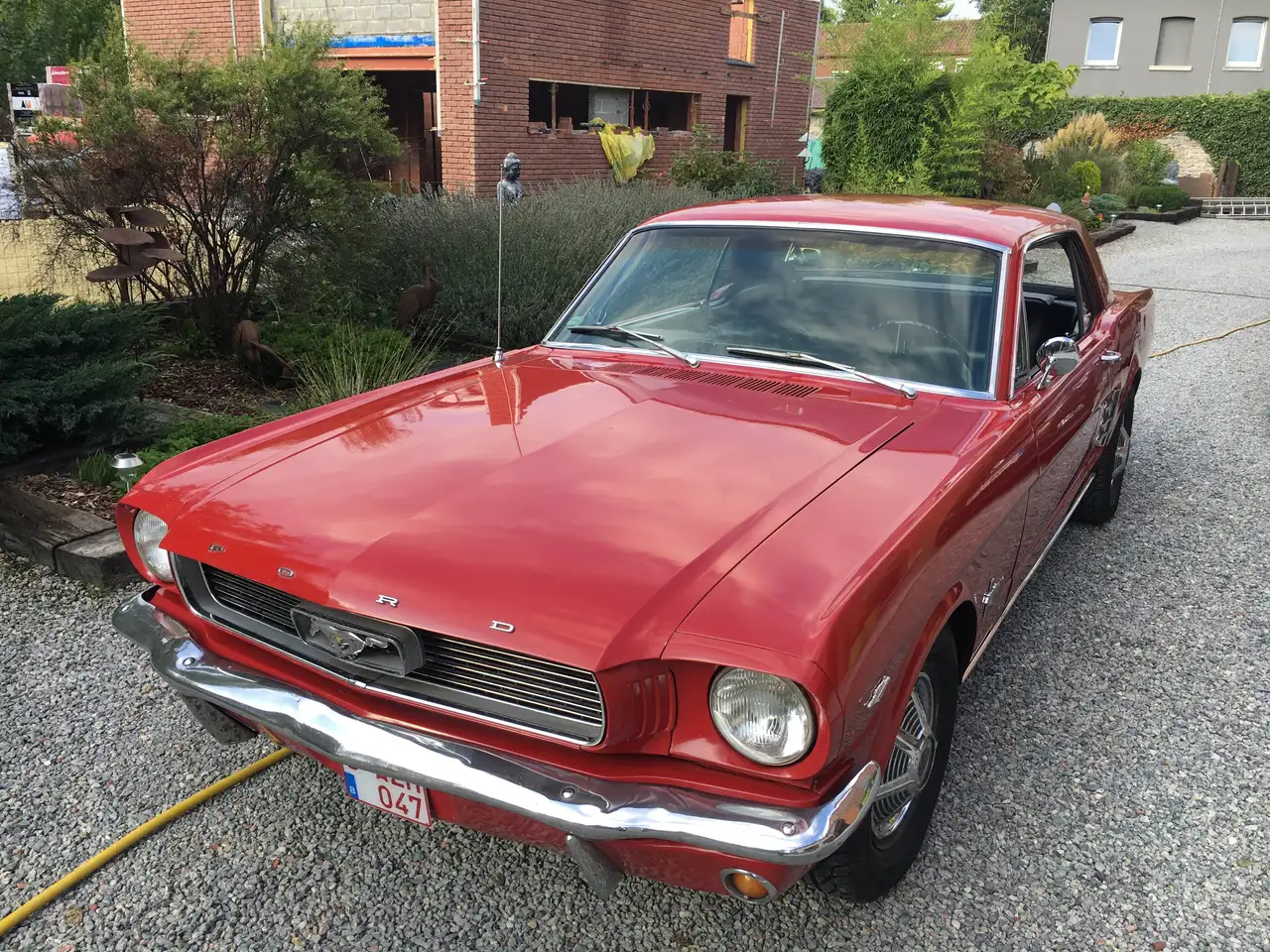Ford Mustang V8 289CI 4.7L, foto 4