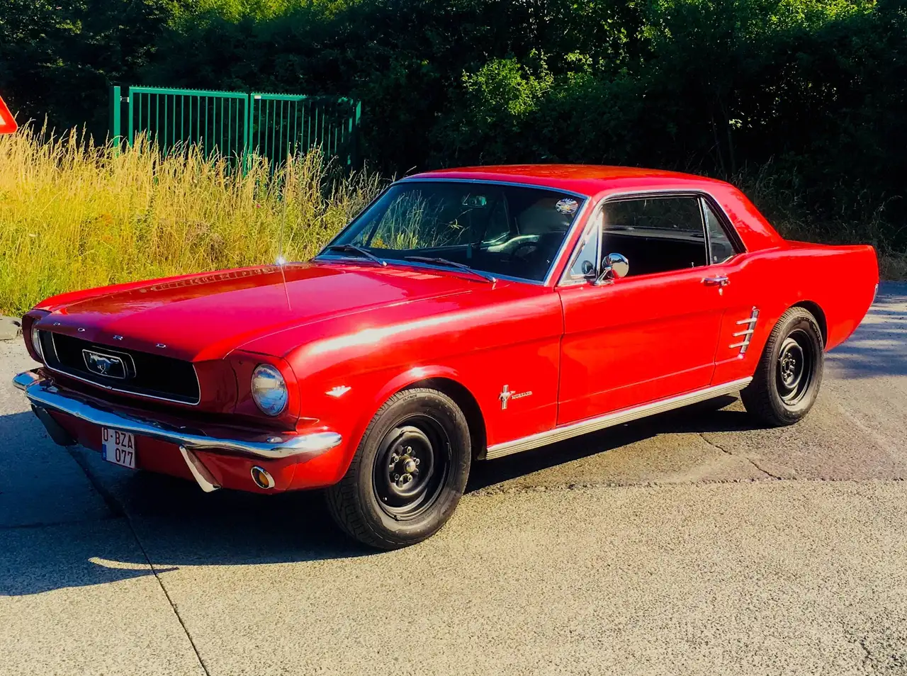Ford Mustang V8 289CI 4.7L, foto 1
