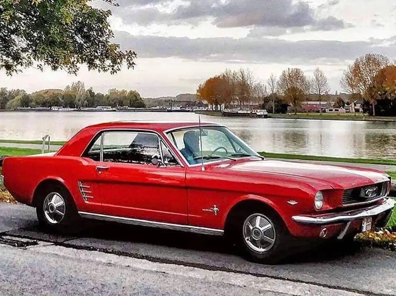 Ford Mustang V8 289CI 4.7L, foto 7
