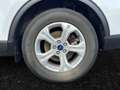 Ford Kuga 2.5 Plug-in-Hybrid ''Cool & Connect'' Navi Parksen Wit - thumbnail 6
